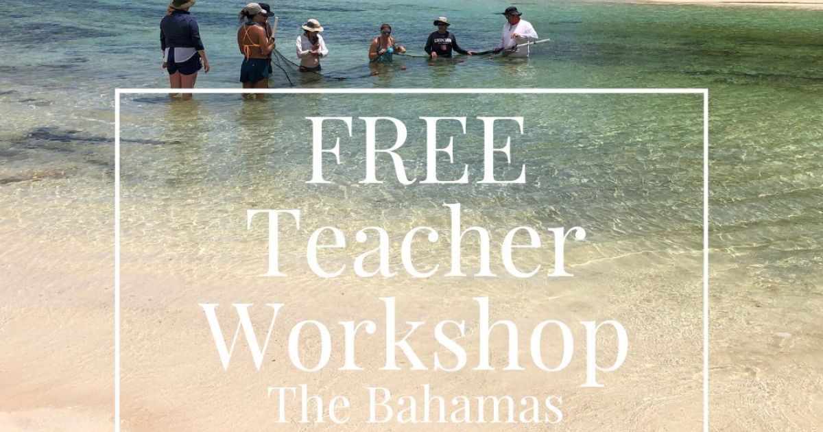 Teacher Training Workshop in The Bahamas! | eePRO